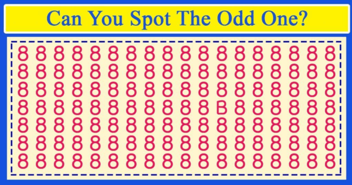 Can You Find The Odd One Out?